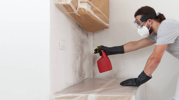 Professional Attic Mold Remediation technician working in Franklin Square, NY